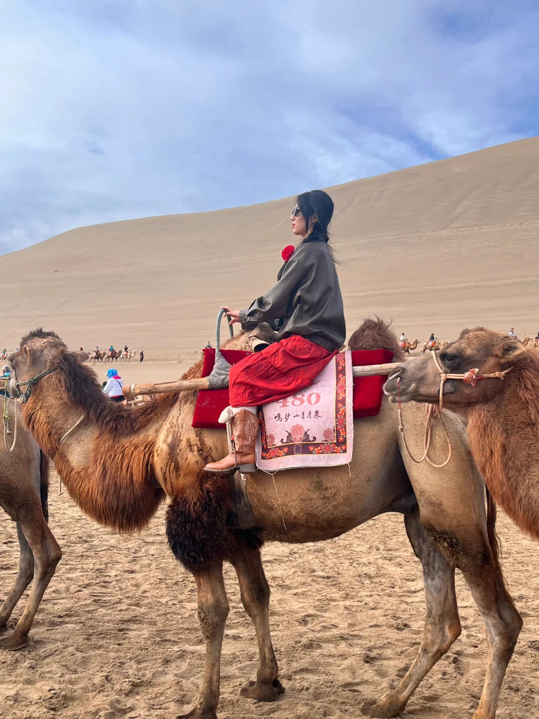 3.26📍 敦煌已回，live直出，无法..劝退..