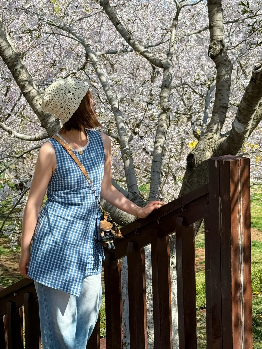 🌸“樱花味的春天”在旅顺