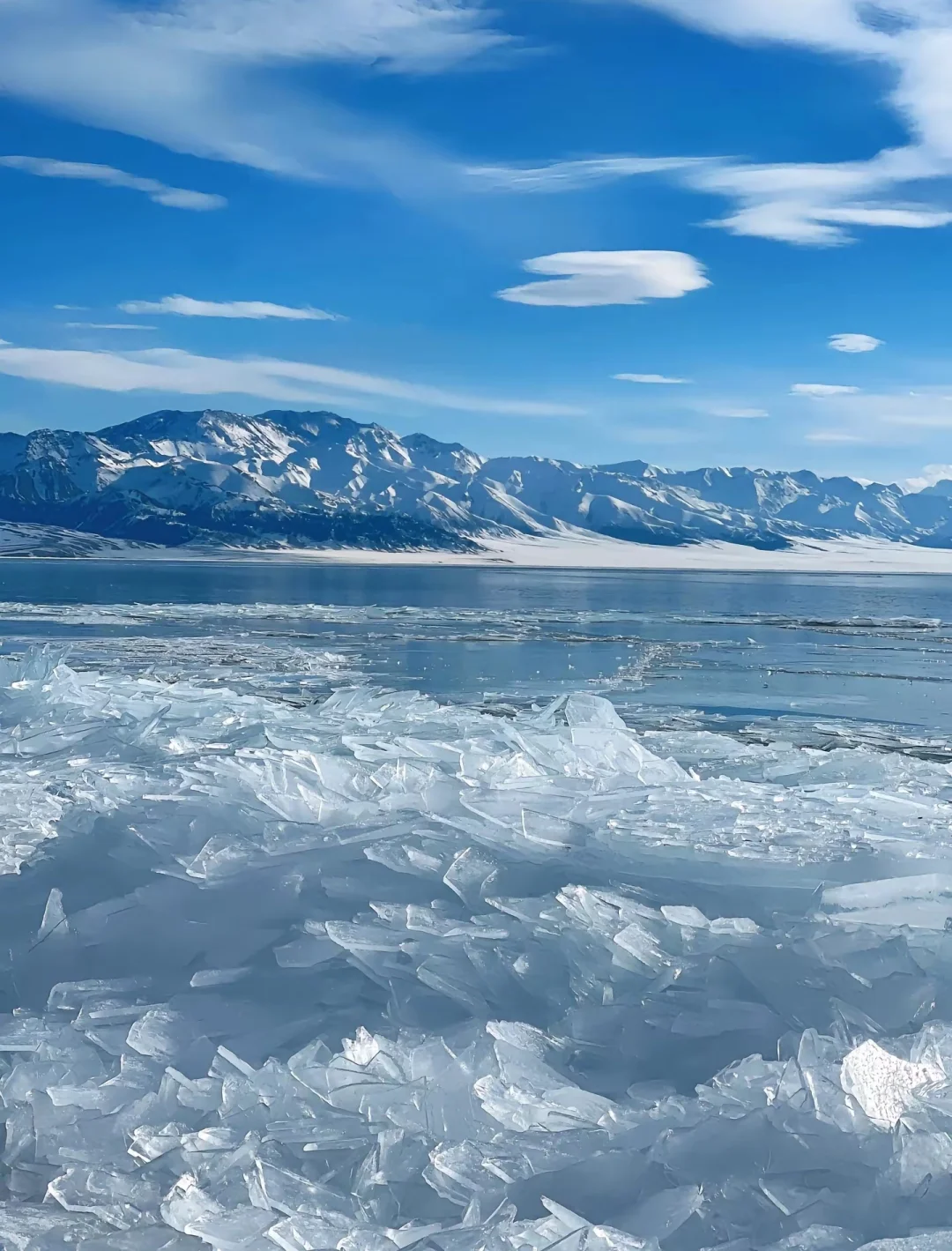永远为山海着迷🌊