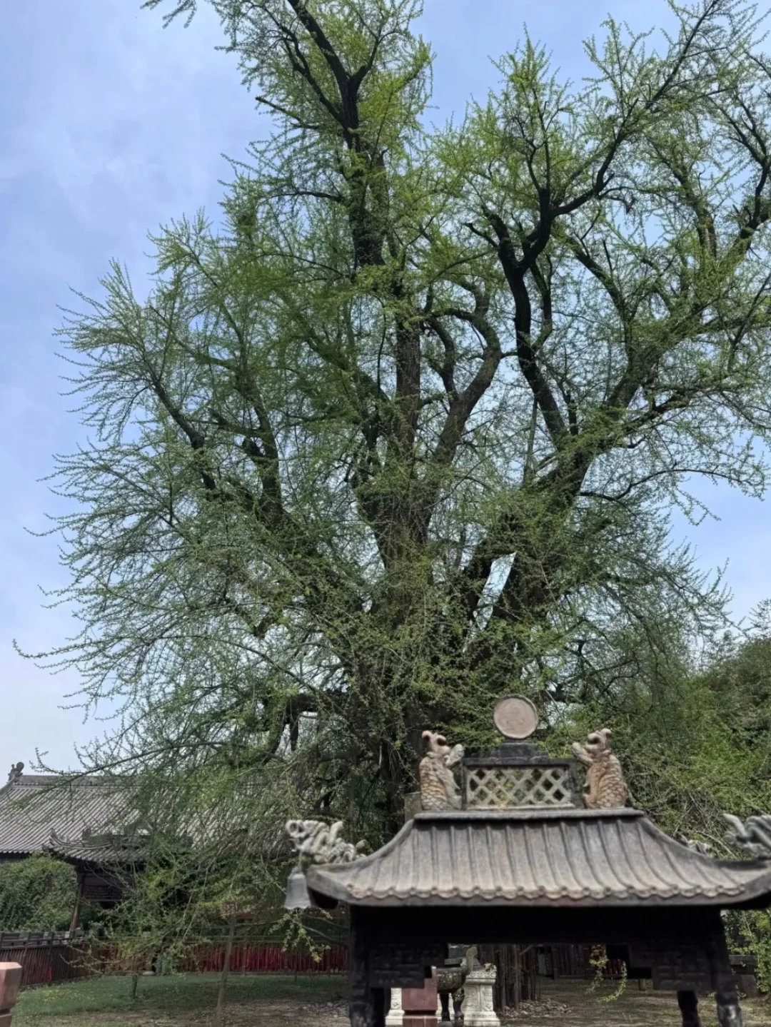 西安已回。。。三个人都崩溃了💔