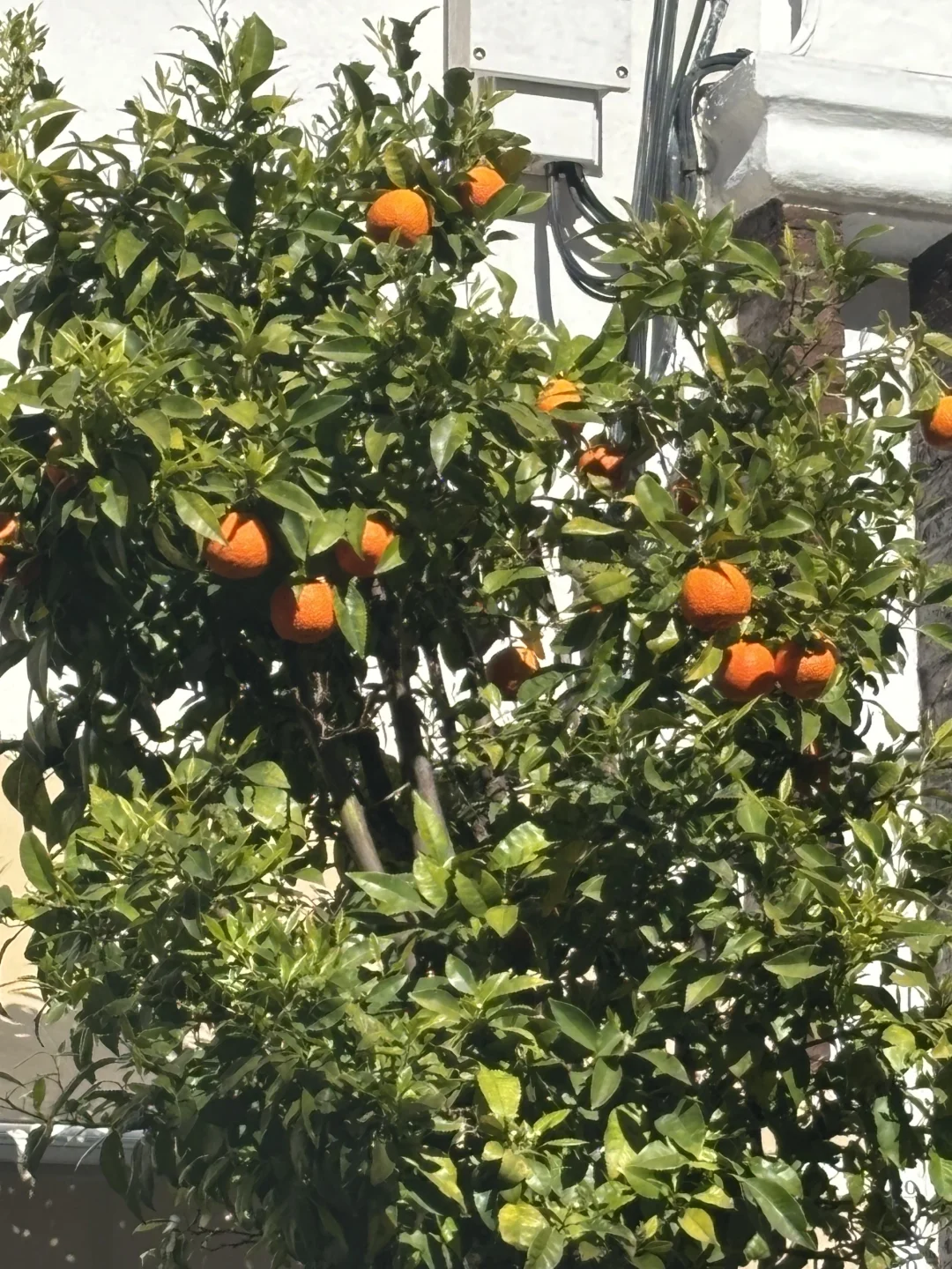 圣周历险记：当旅途按下暂停键