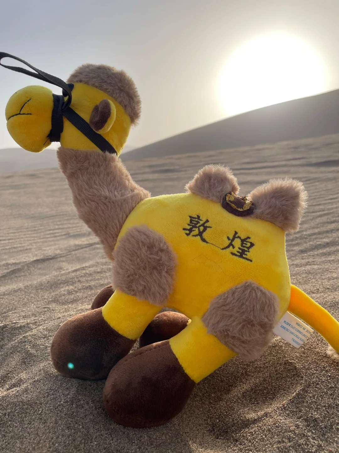 3.26📍 敦煌已回，live直出，无法..劝退..