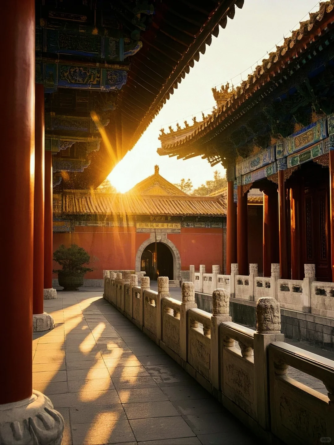 一眼千年 | 光影中的故宫美学🎞