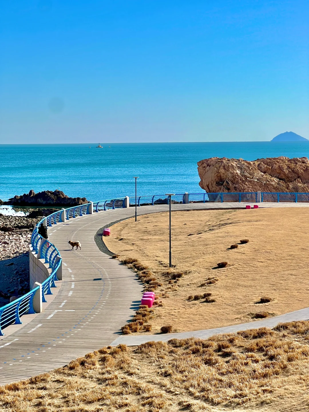 为了这❶❽张live图❗️我特意去了一趟青岛❗️