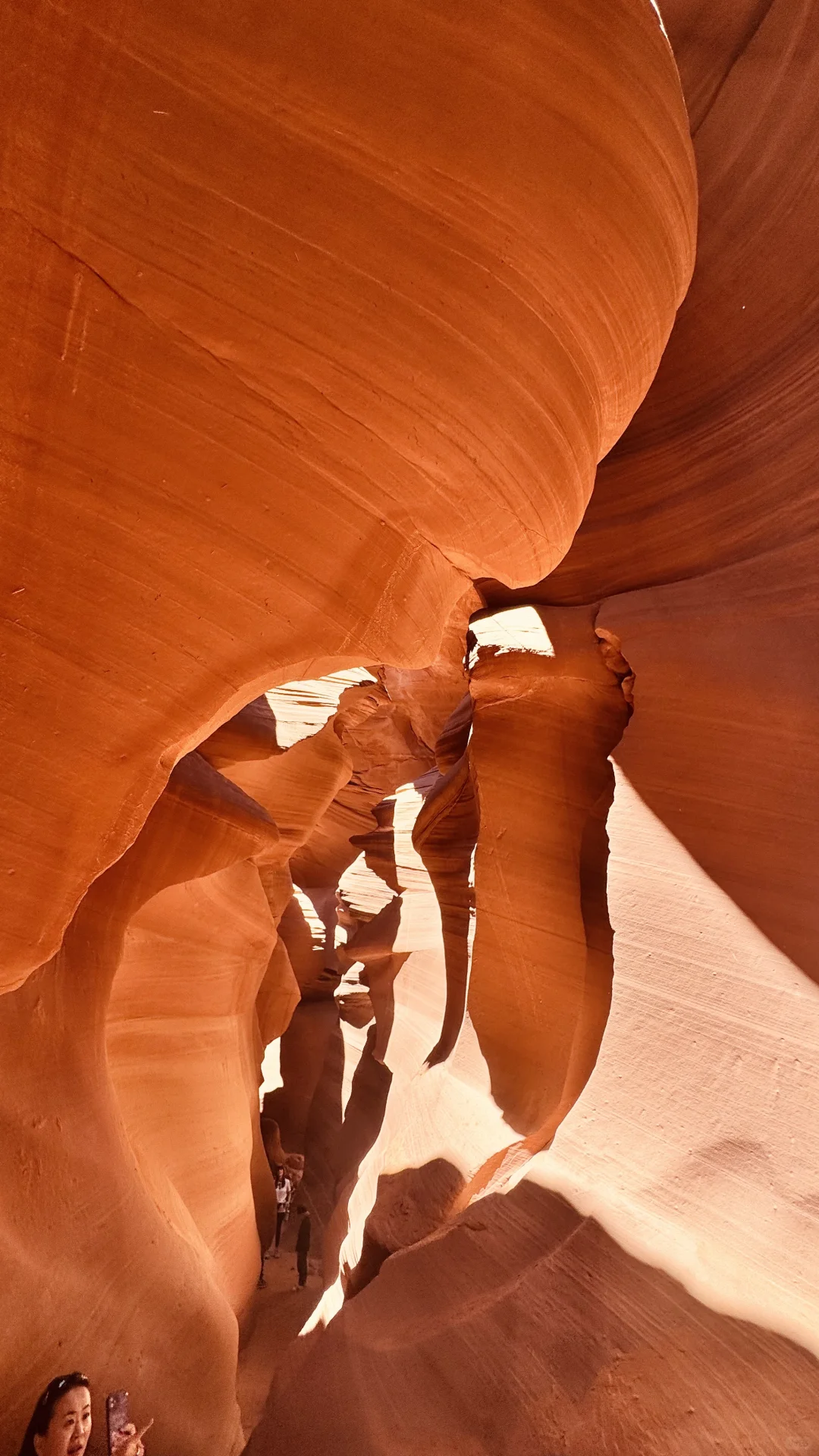 拉斯维加斯/羚羊谷/马蹄湾