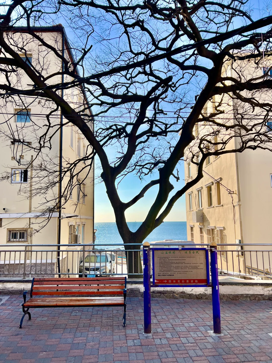 为了这❶❽张live图❗️我特意去了一趟青岛❗️