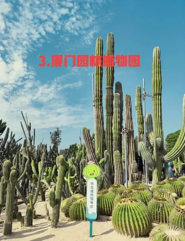 厦门市旅游景点