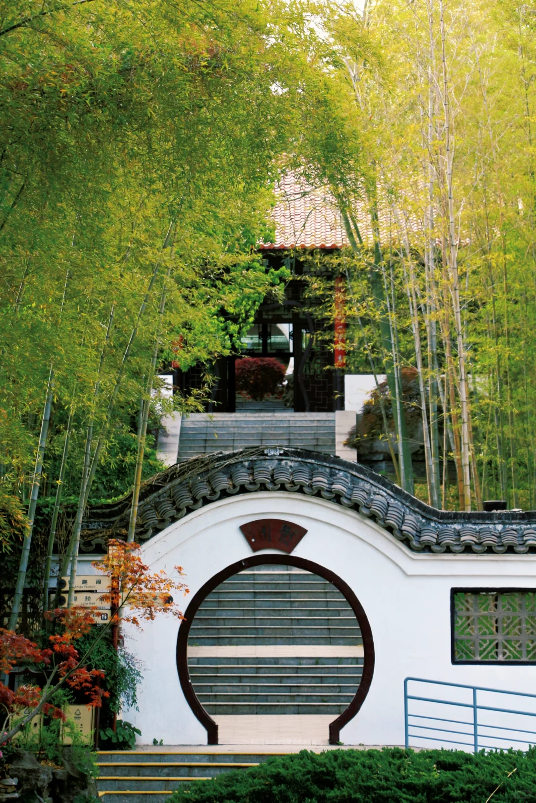 南京景点📍本地人也很少知道的小众园林