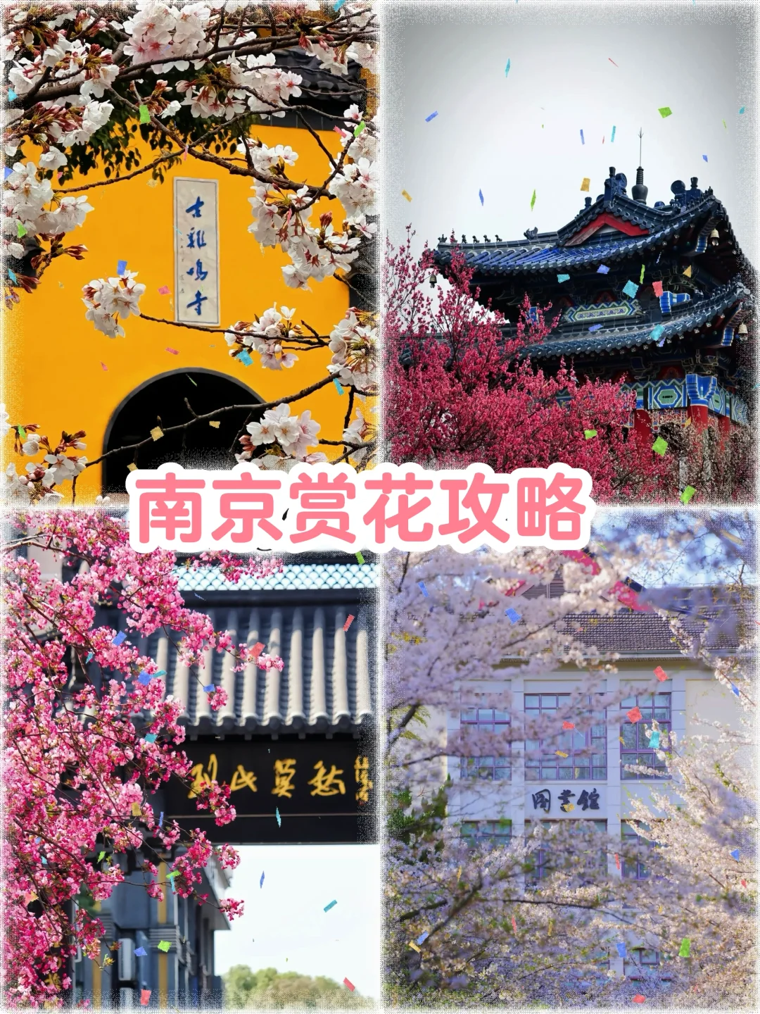 3月的南京😜这些赏花点绝绝子！🌸
