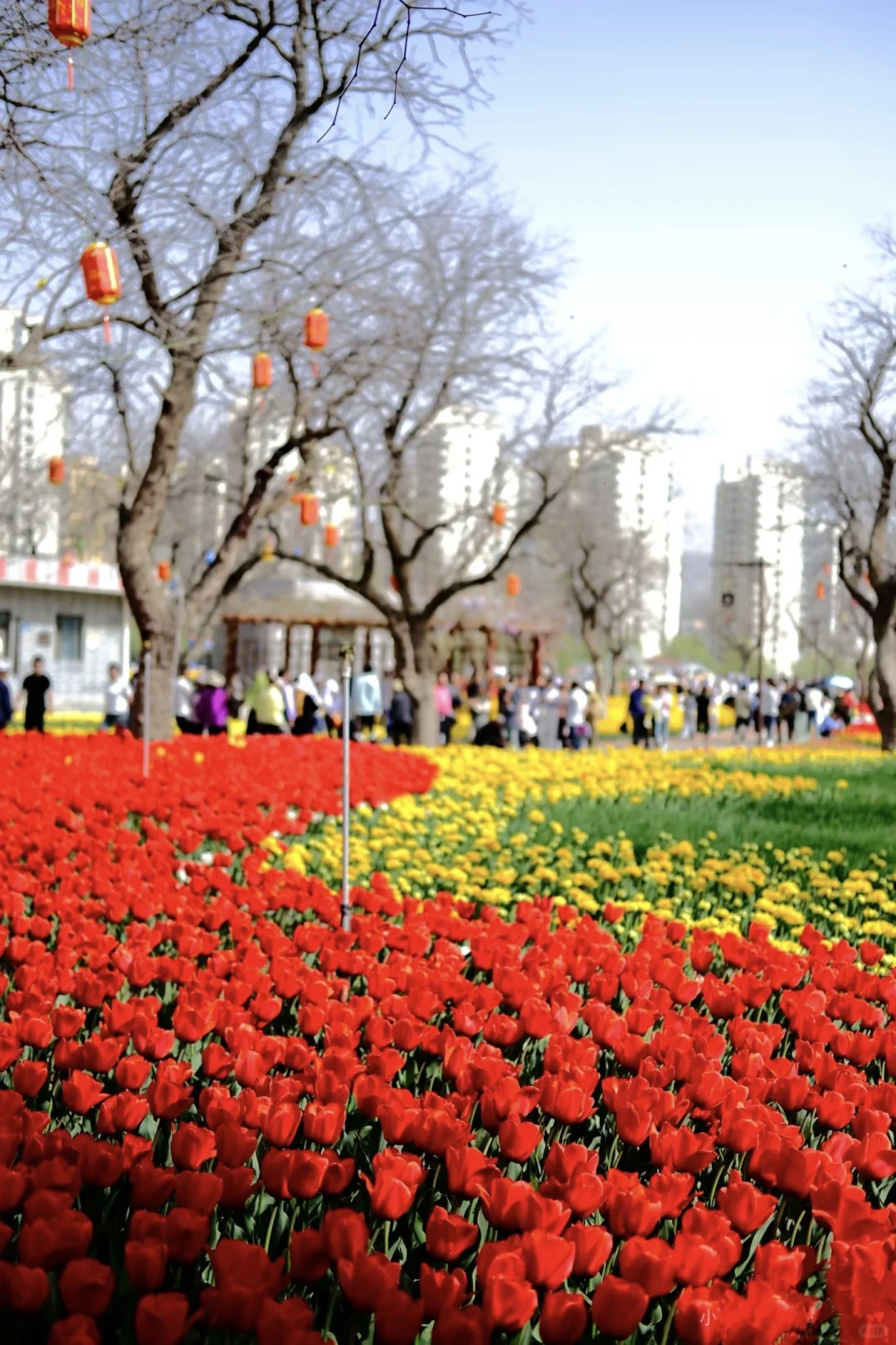 刘家峡？能劝一个是一个，我去了不下十次❗