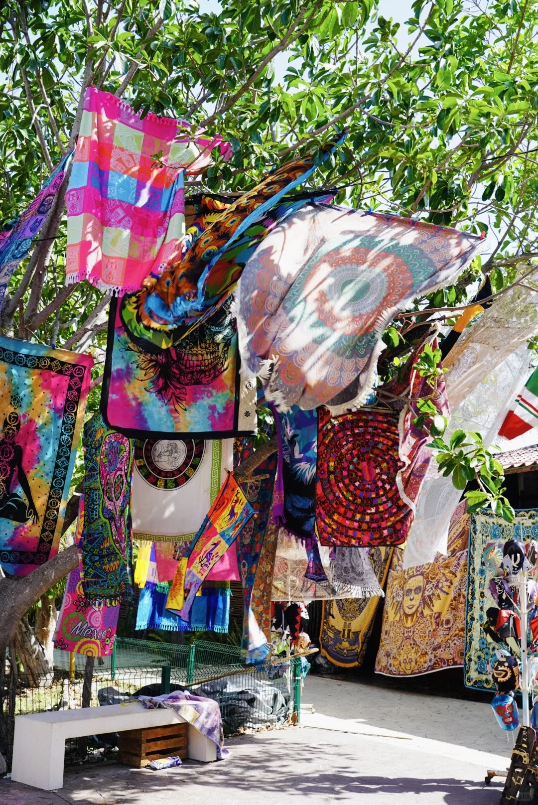 🇲🇽｜Tulum遗址·加勒比海边的玛雅文明