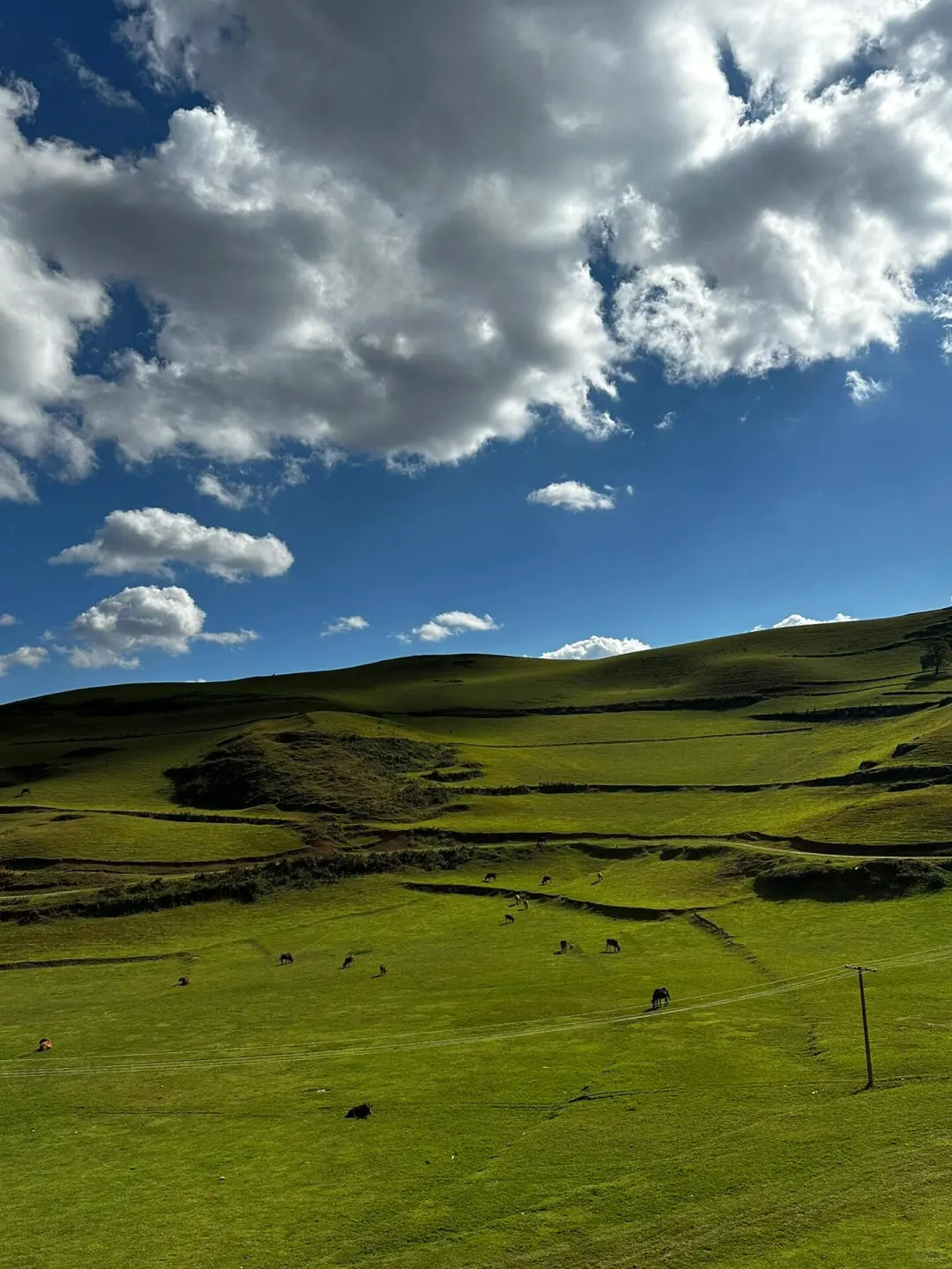 北京周边游📍带你看内蒙古小新西兰