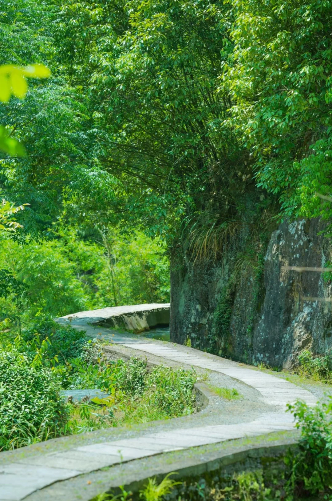 五一去哪玩❓我被这条徒步古道治愈了