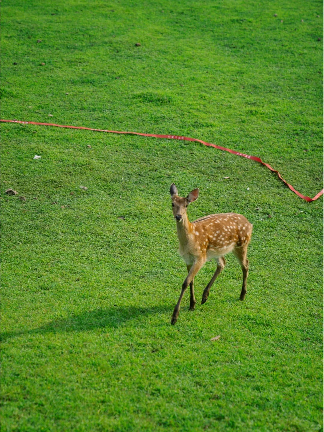 实话难听，但这就是伊春旅游真实现状。。。