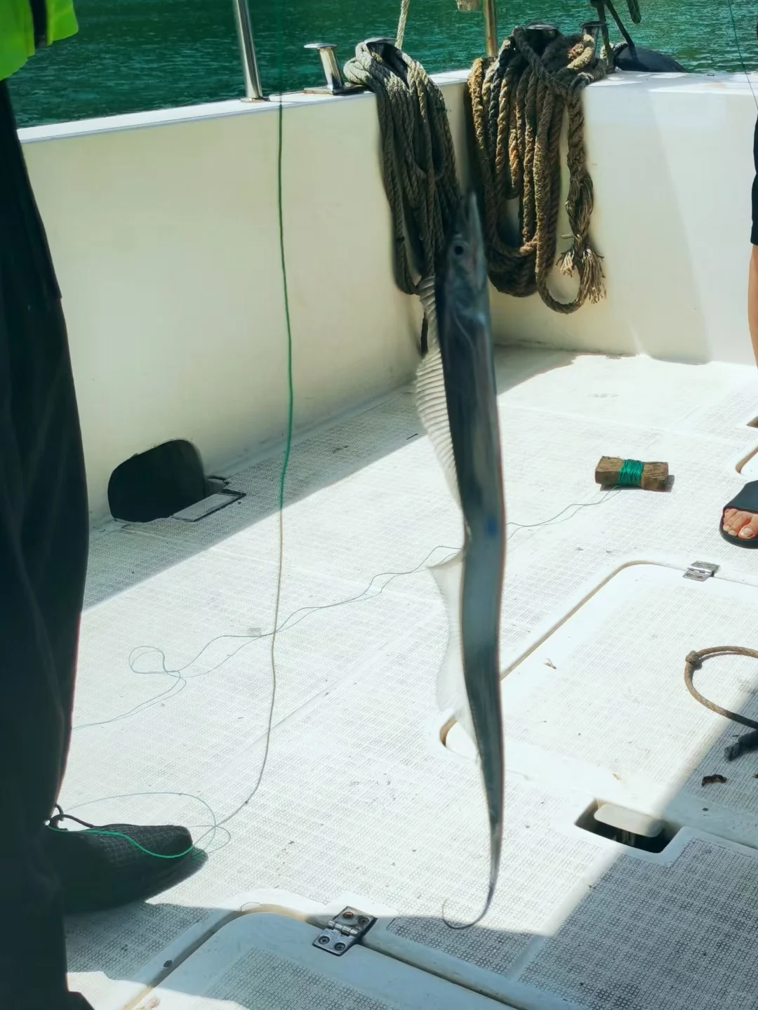 真的不是国外❗是浙江绝美冷门小岛