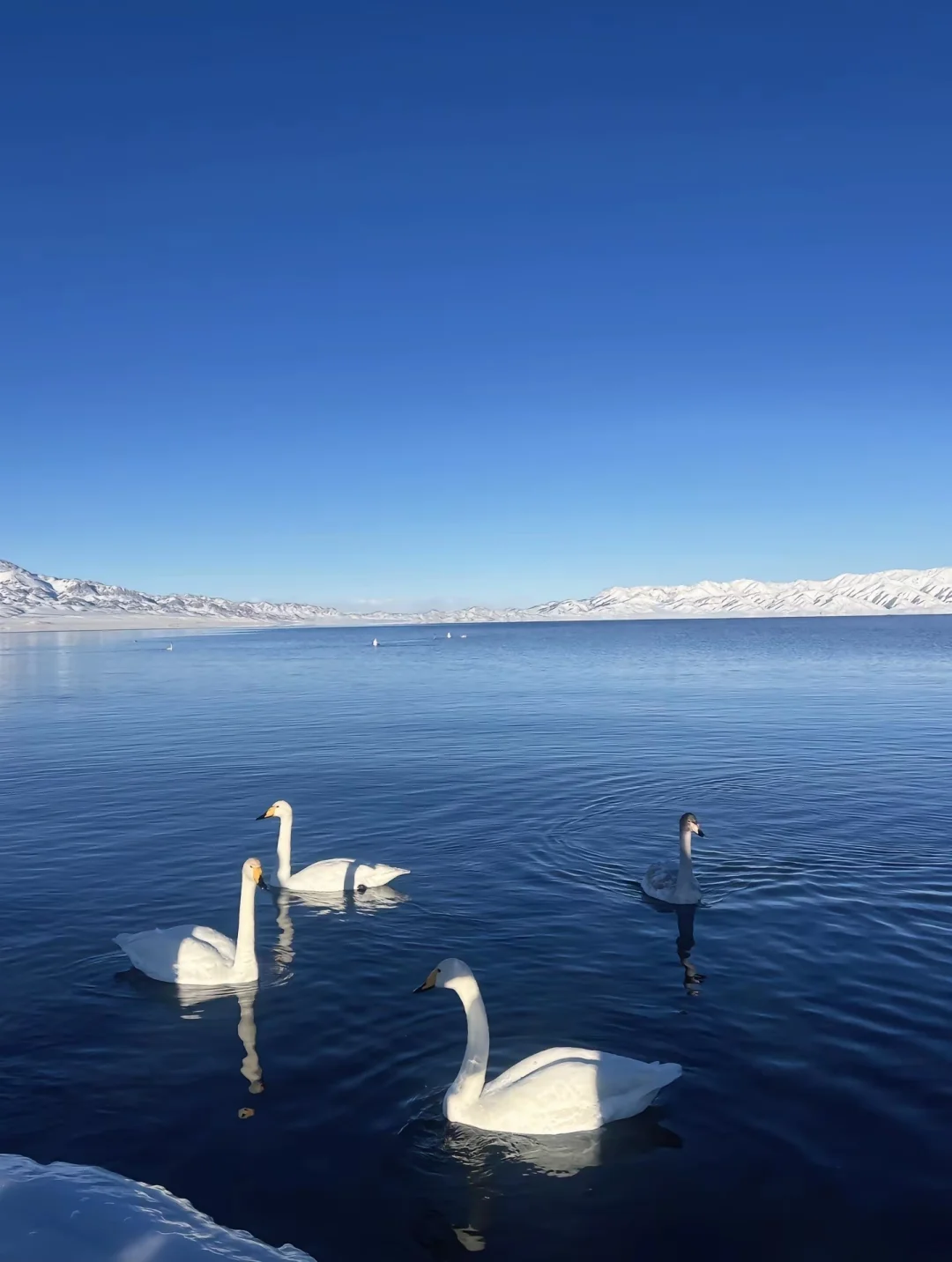 永远为山海着迷🌊