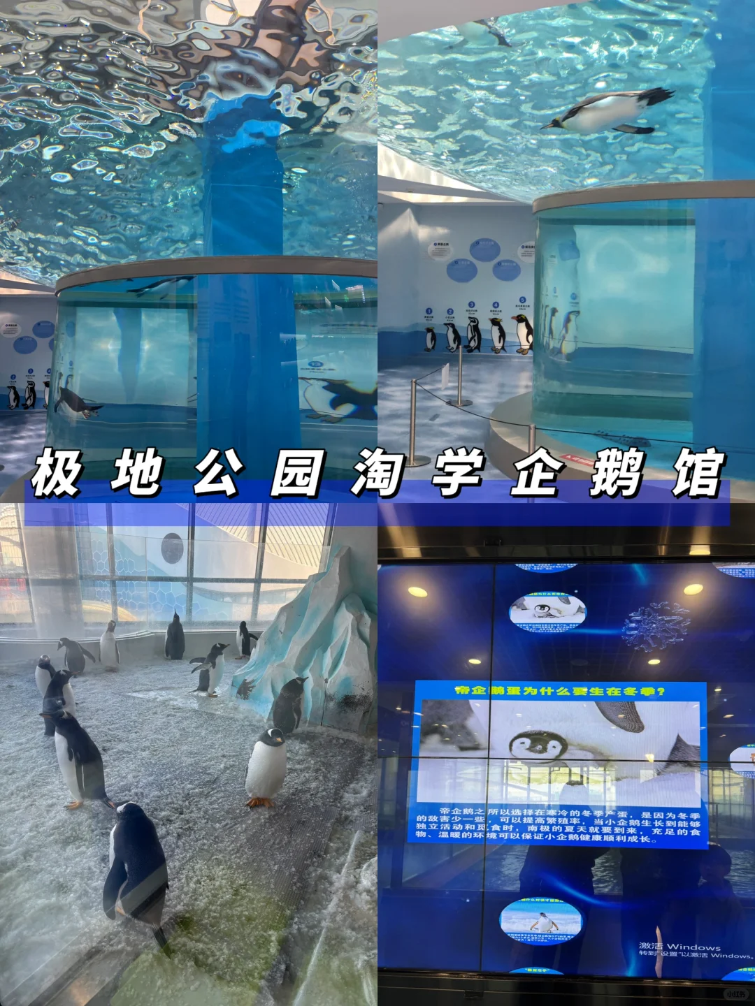 哈尔滨五一旅游✅3天2晚，看这篇就够了！