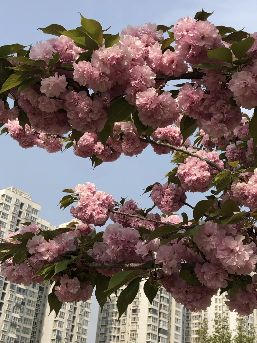 五一假期去石家庄📍保姆级攻略来啦