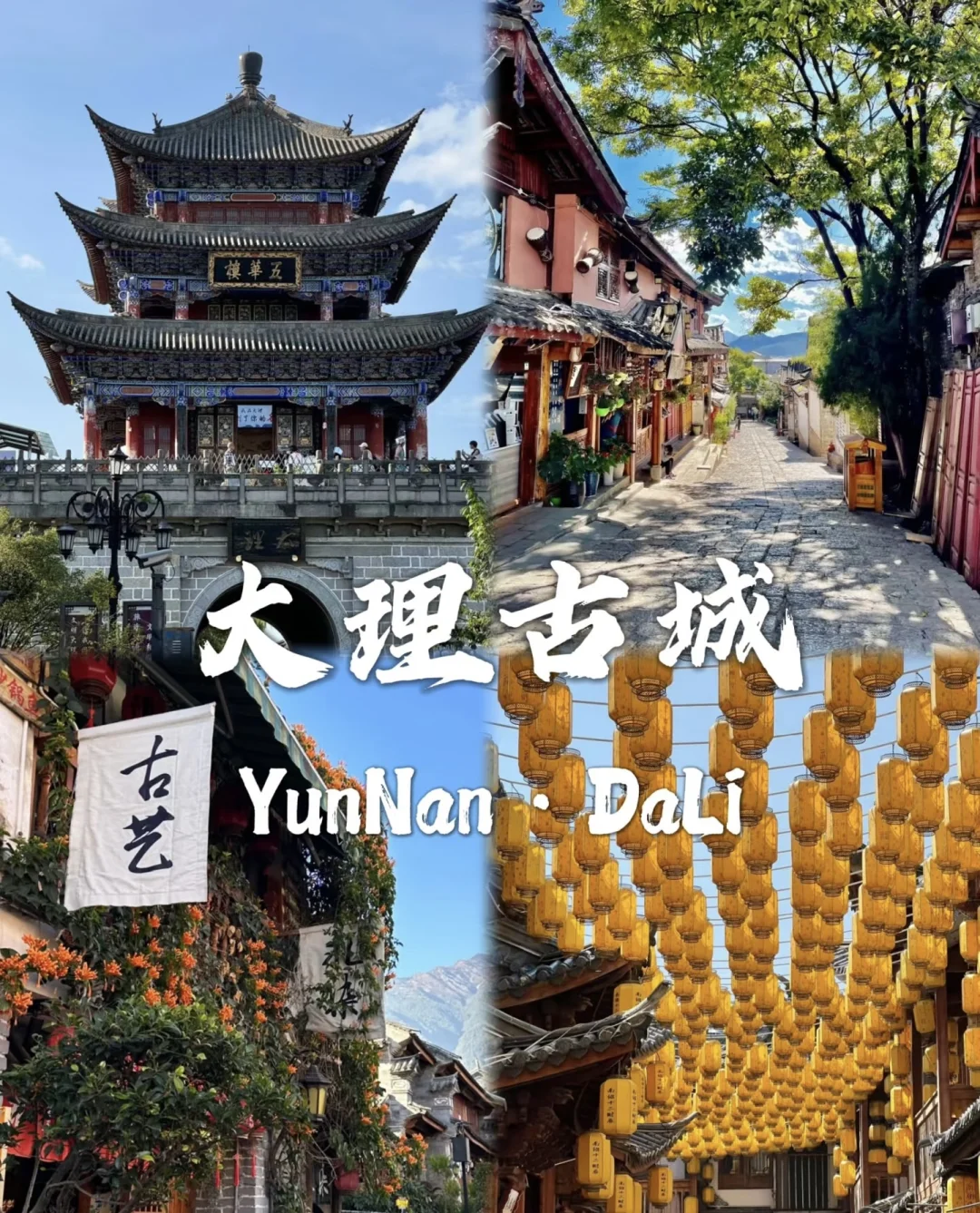 去过有风的地方大理洱海🌊