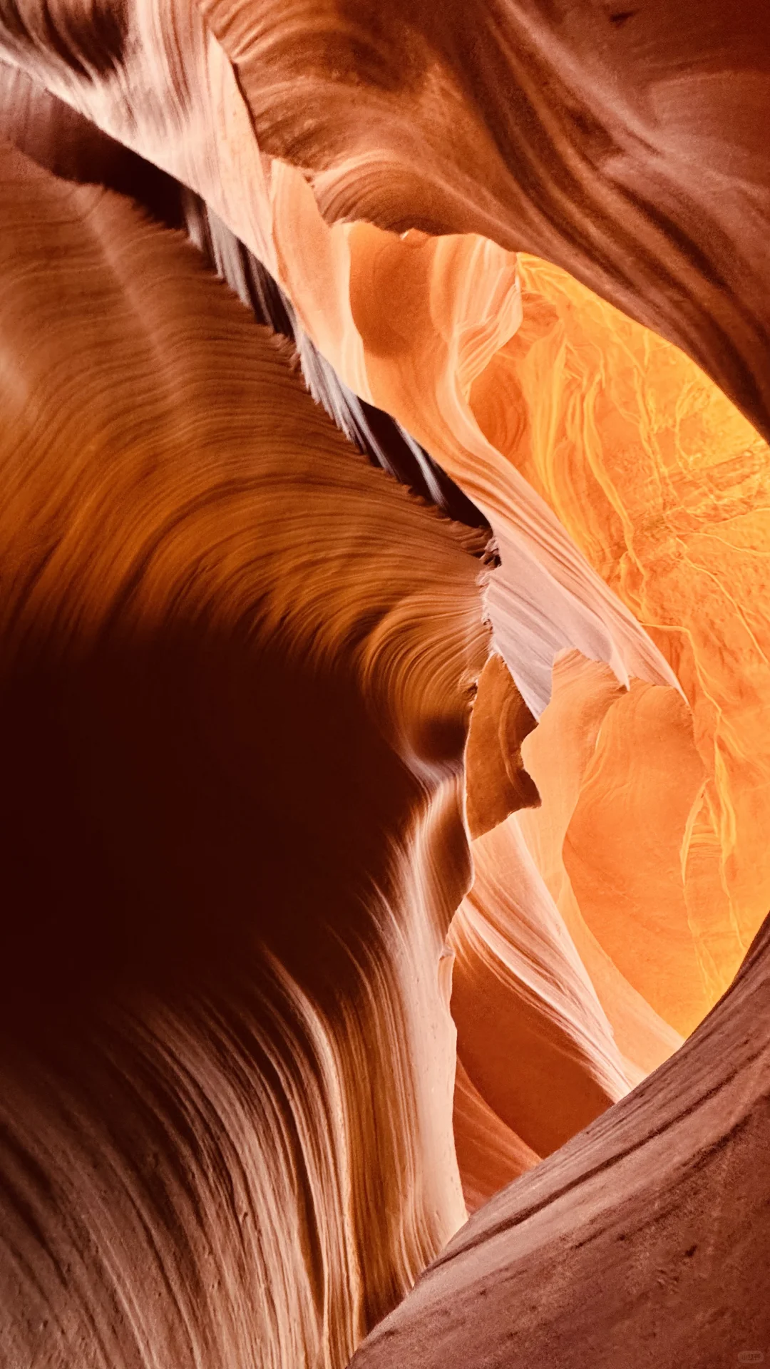 拉斯维加斯/羚羊谷/马蹄湾