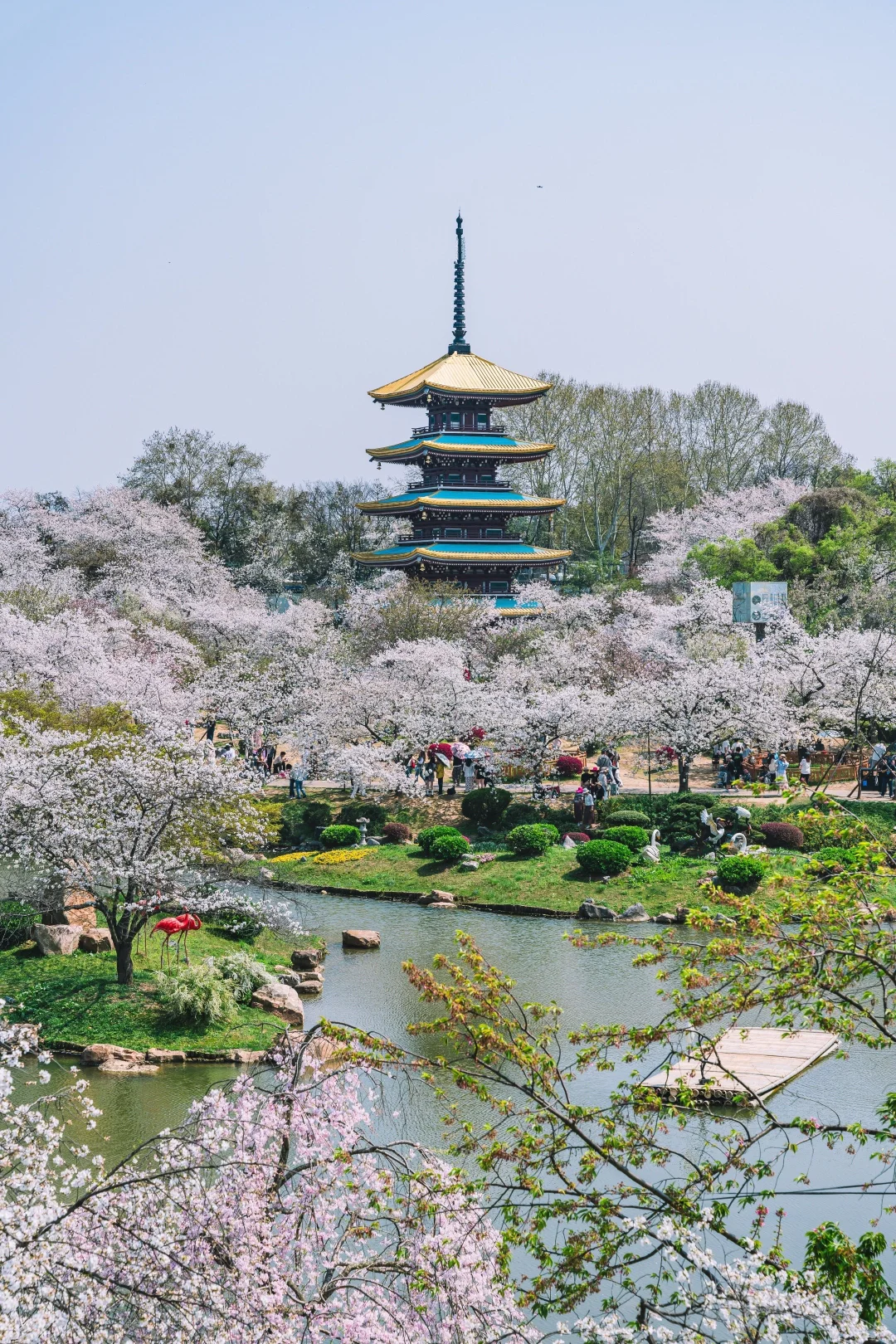 💖武汉，一场浪漫的邂逅之旅✨