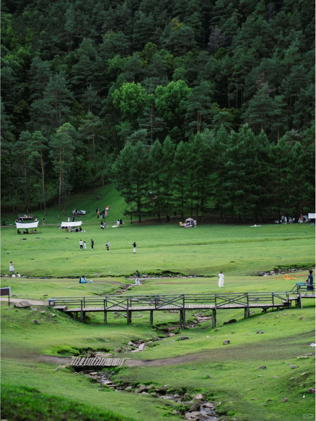 实话难听，但这就是伊春旅游真实现状。。。