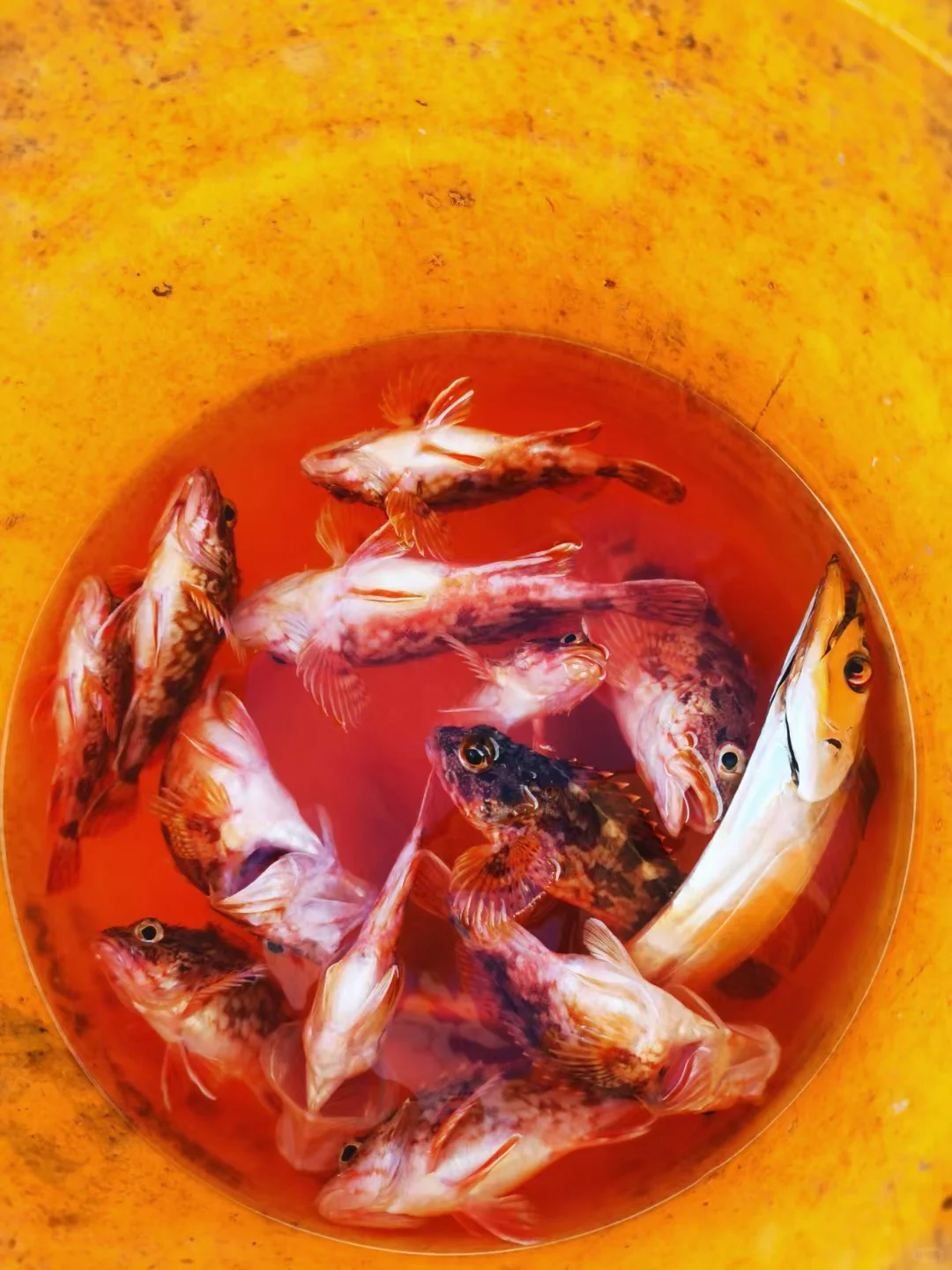 真的不是国外❗是浙江绝美冷门小岛