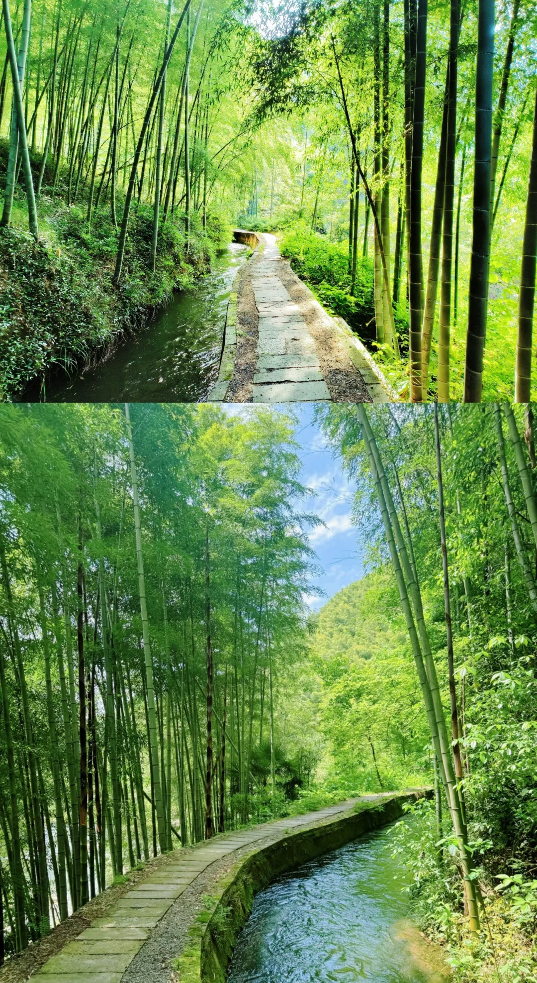 五一去哪玩❓我被这条徒步古道治愈了