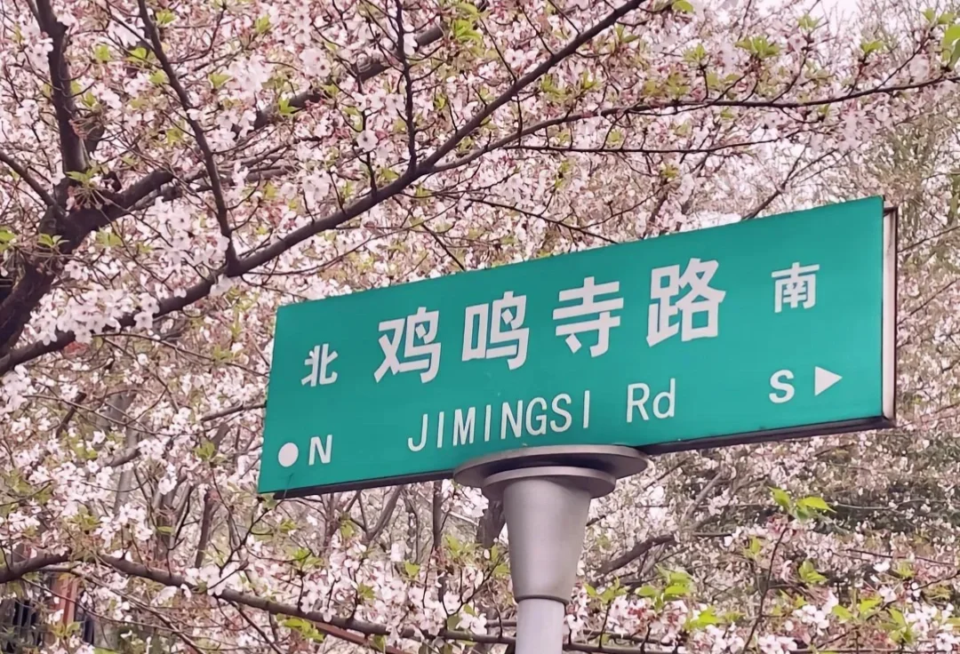 3月的南京😜这些赏花点绝绝子！🌸