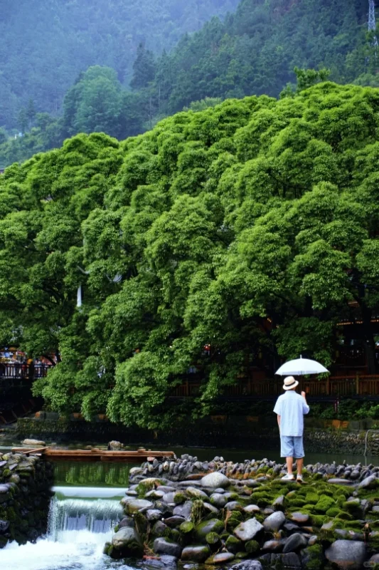 贵州跟团避雷，大家注意甄别！！