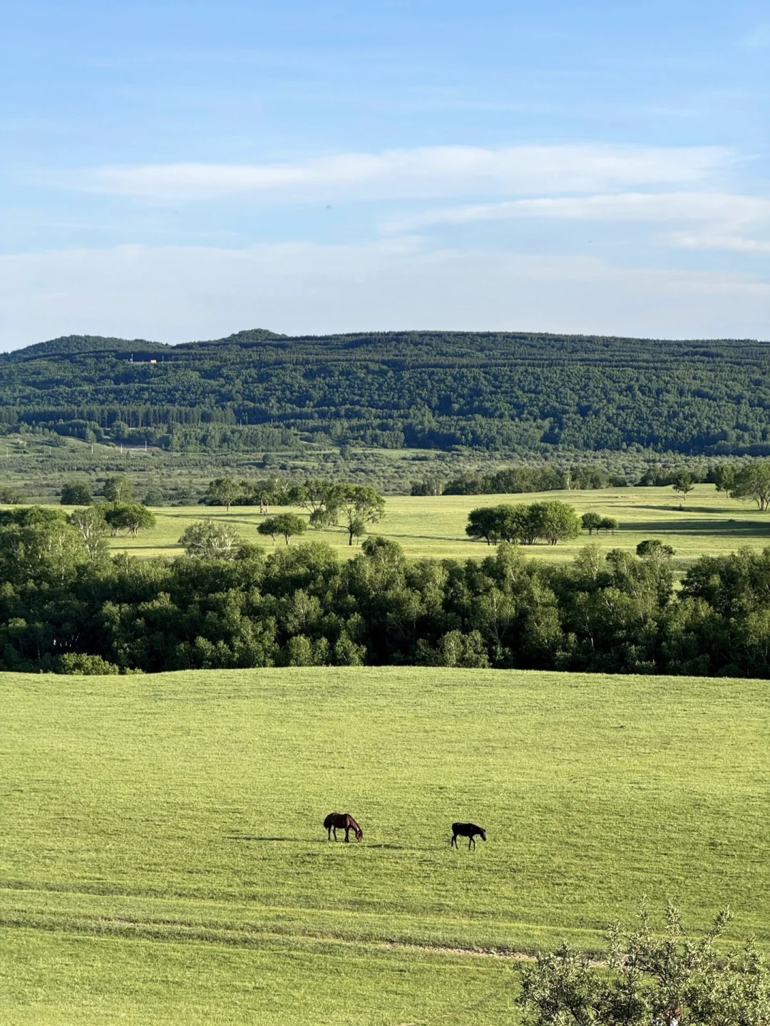 北京周边游📍带你看内蒙古小新西兰