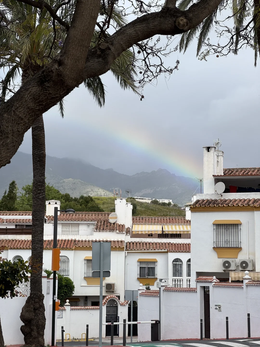 圣周历险记：当旅途按下暂停键