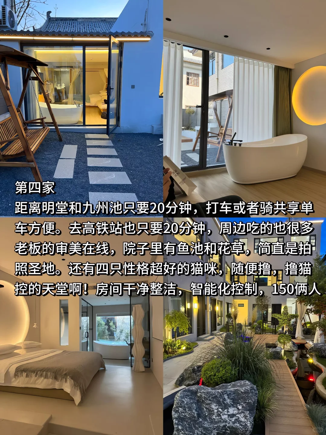 04女大穷游洛阳📍四天｜真实旅游分享✌️