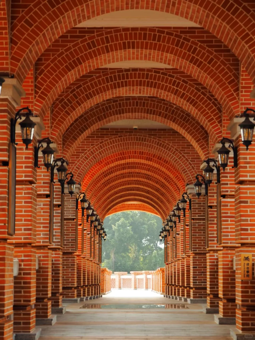 被严重低估的宝藏城市❗️福州隐藏玩法公开㊙️