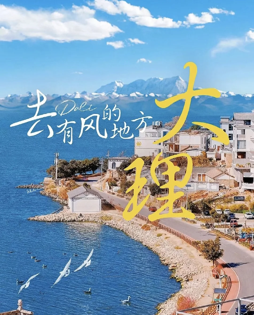 去过有风的地方大理洱海🌊