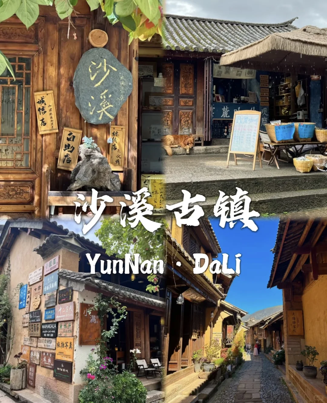 去过有风的地方大理洱海🌊