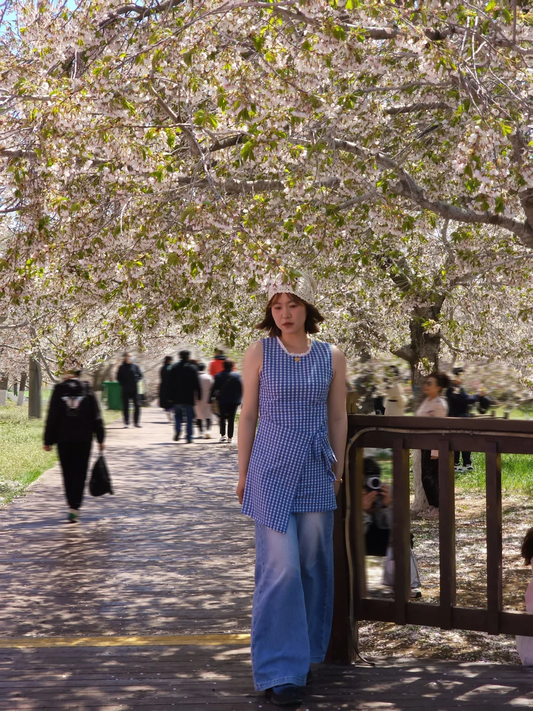 🌸“樱花味的春天”在旅顺