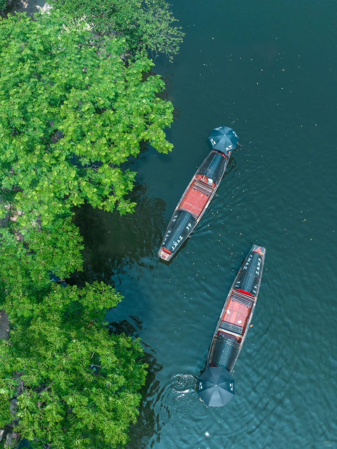 接下来的绍兴，就是苏轼笔下的“真江南”……