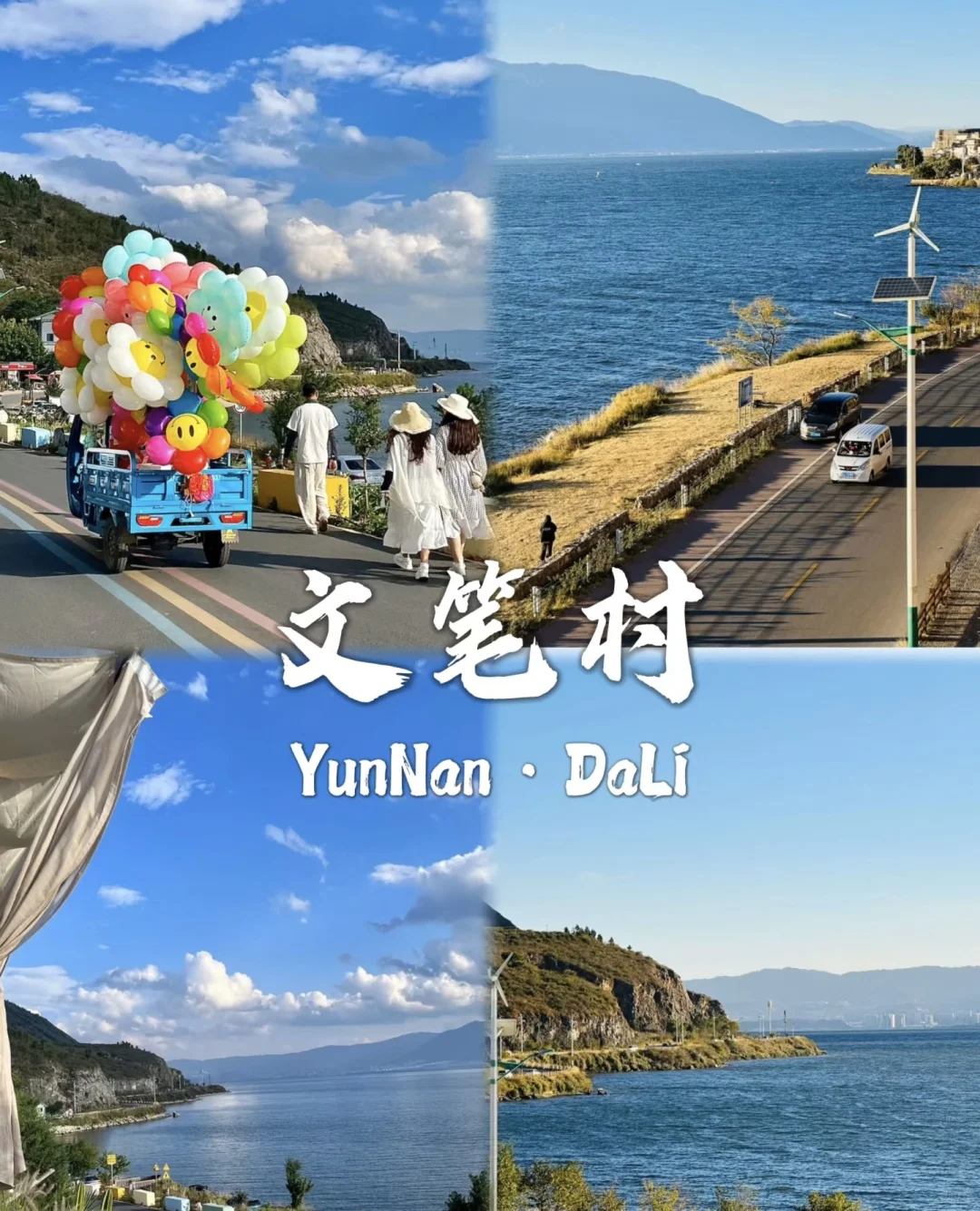 去过有风的地方大理洱海🌊