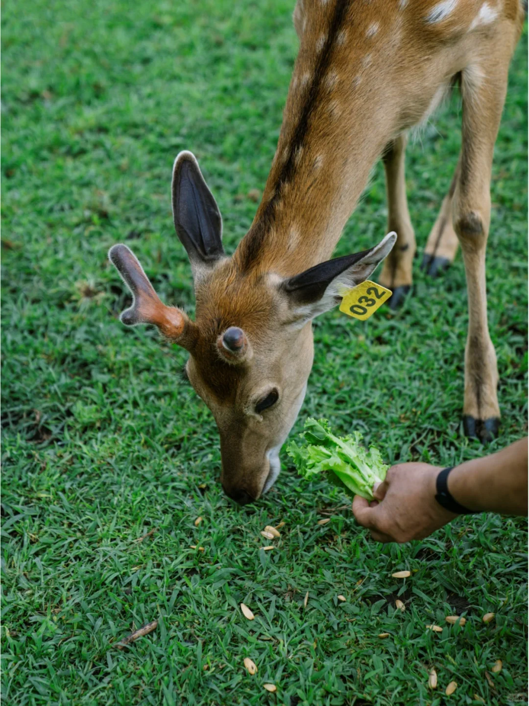 实话难听，但这就是伊春旅游真实现状。。。