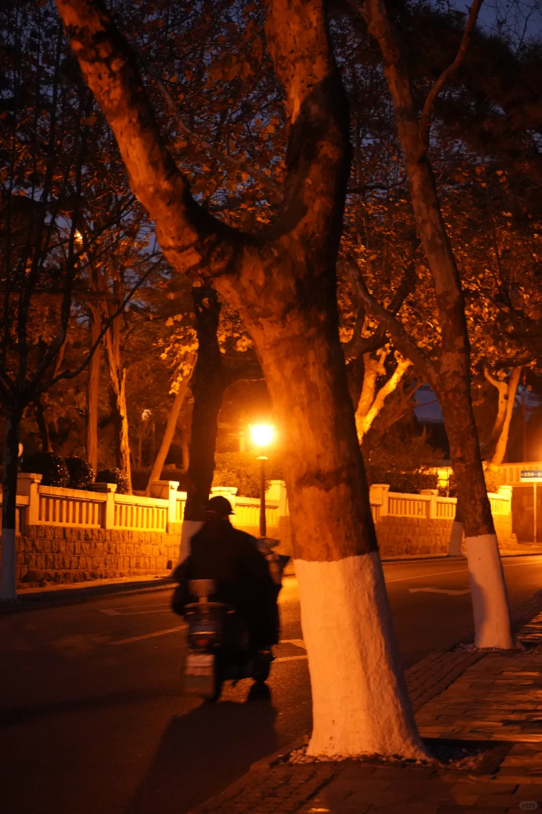 淡季的山东太爽啦！