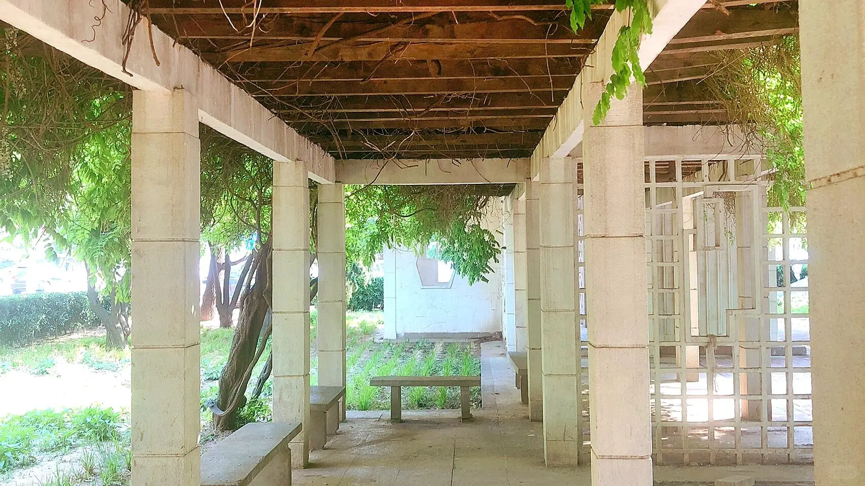 大连小众宝藏！思想公园，邂逅心灵的栖息地