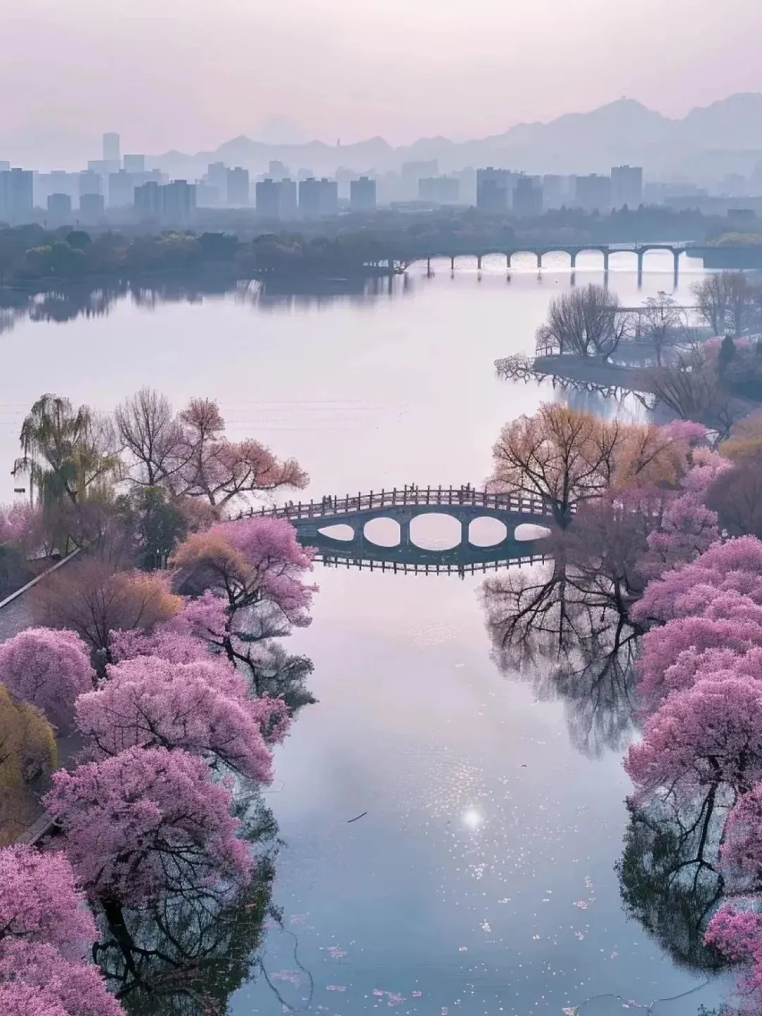 腰缠十万贯，骑鹤上扬州。