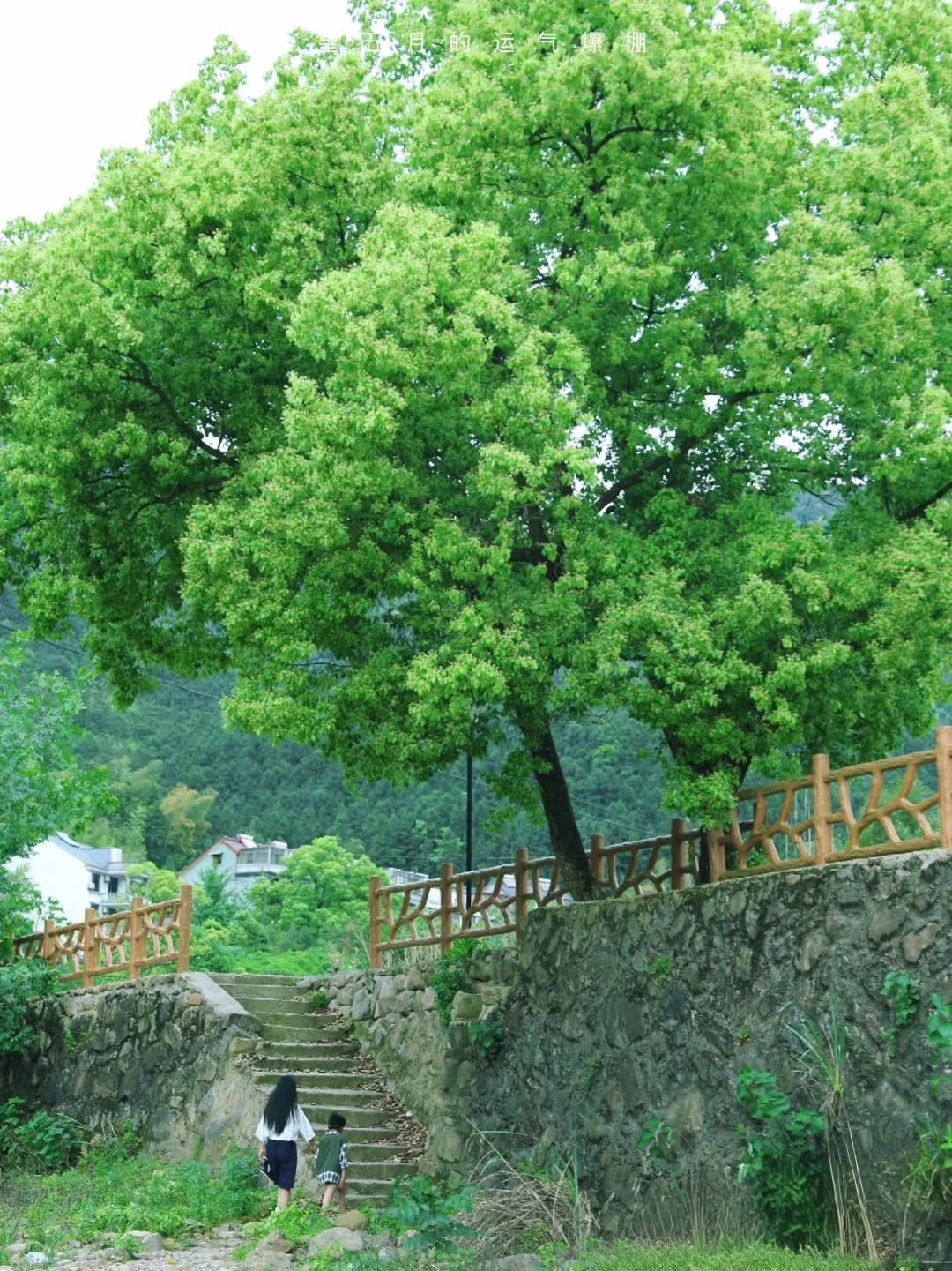 五一去哪玩❓我被这条徒步古道治愈了