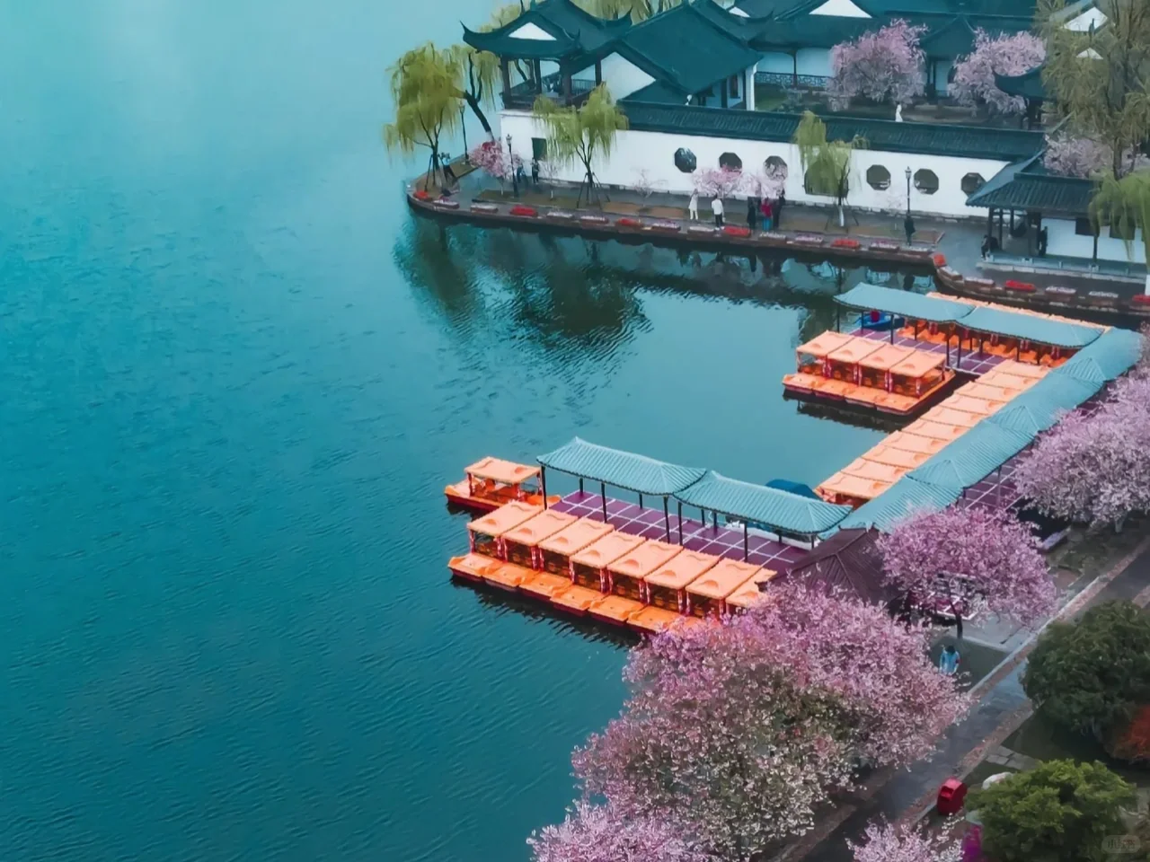 3月的南京😜这些赏花点绝绝子！🌸