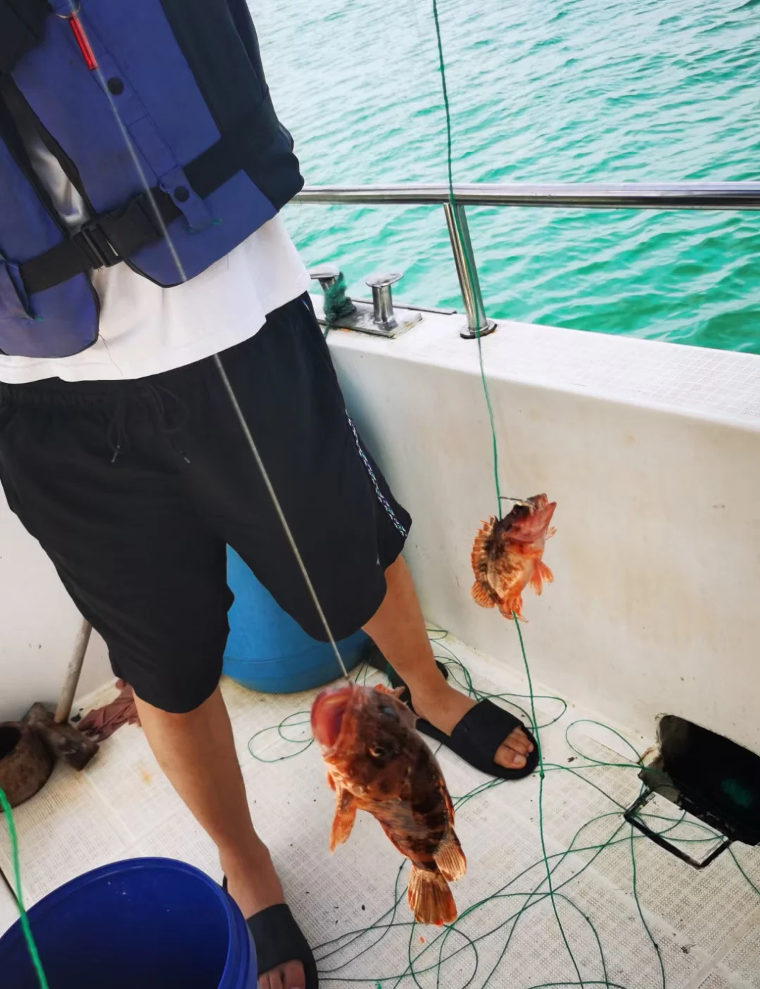 真的不是国外❗是浙江绝美冷门小岛