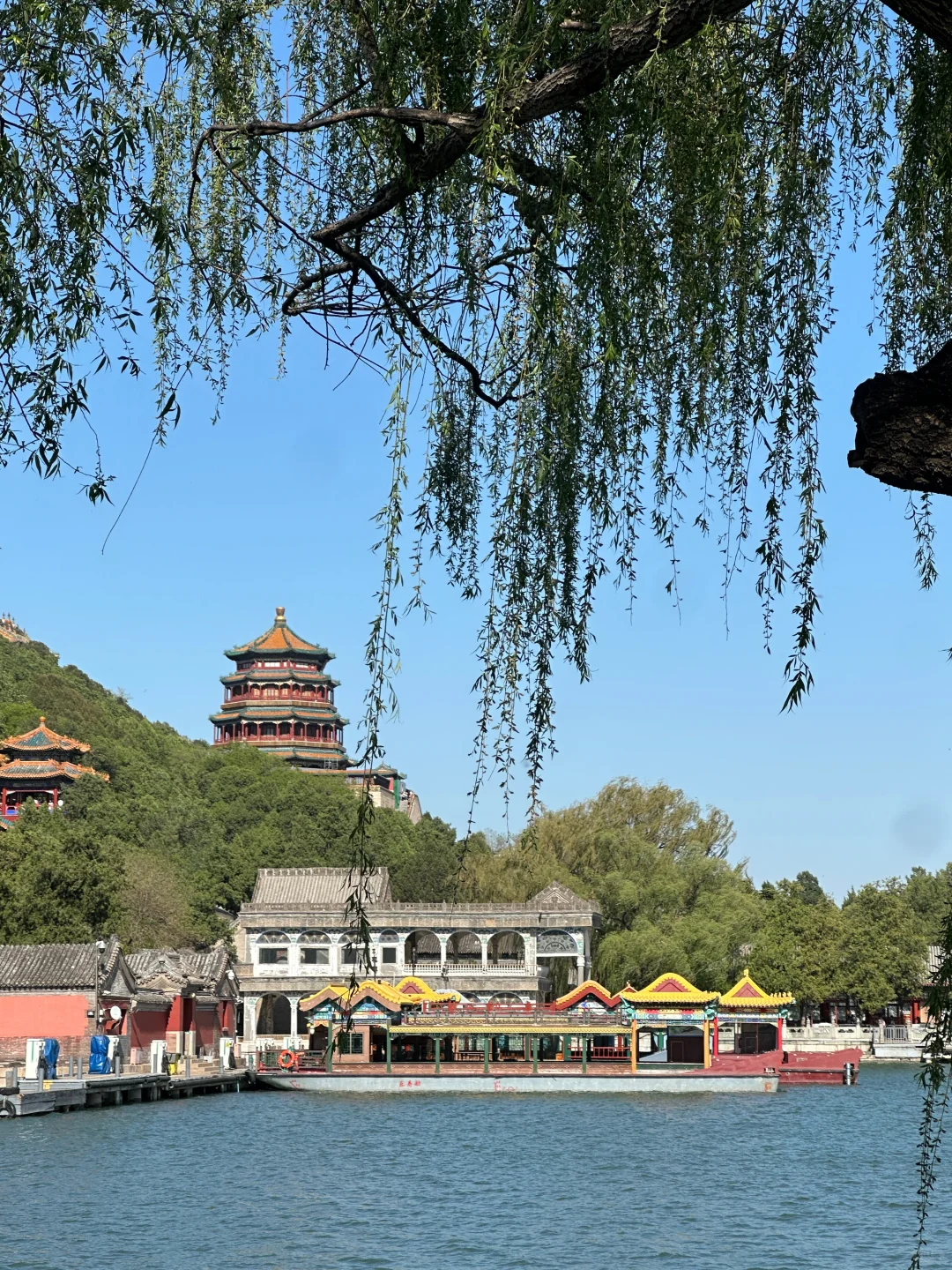 不敢贪便宜，给爷爷奶奶报到了靠谱北京团…