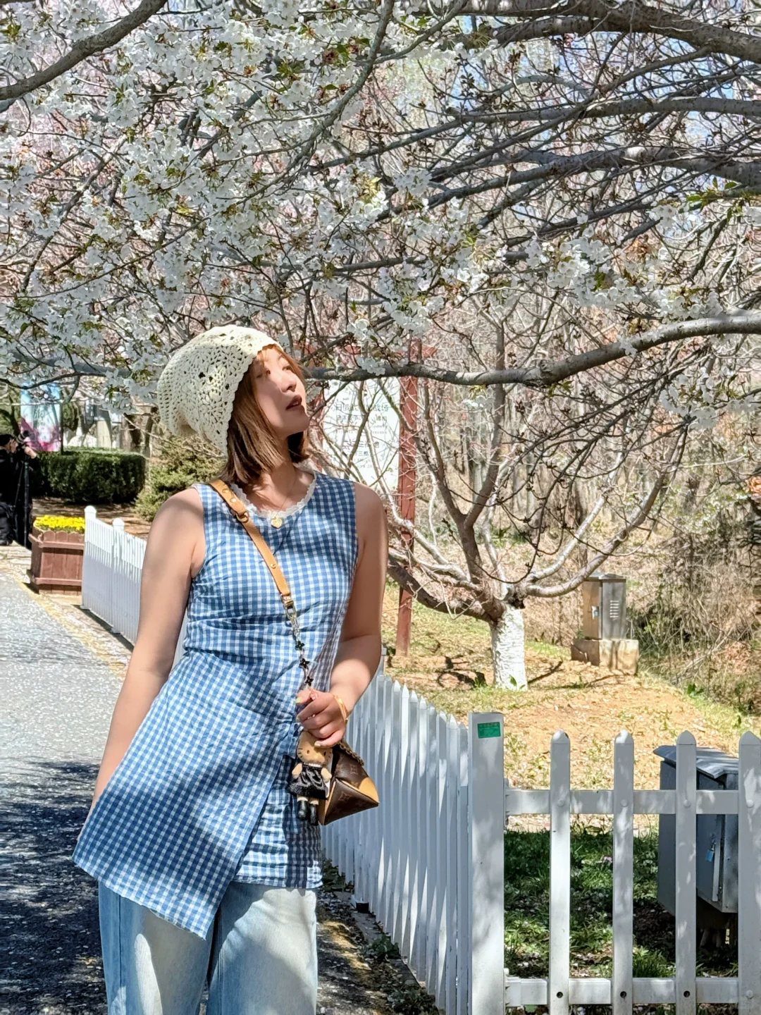 🌸“樱花味的春天”在旅顺