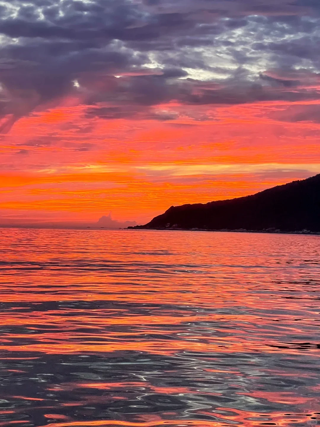 🇨🇳南澳岛🌊|每天认识一个小岛🏝️(16/100)