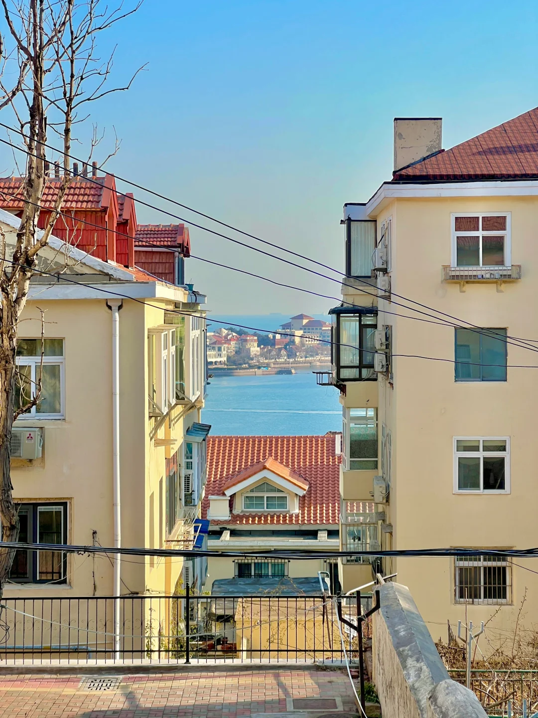 为了这❶❽张live图❗️我特意去了一趟青岛❗️